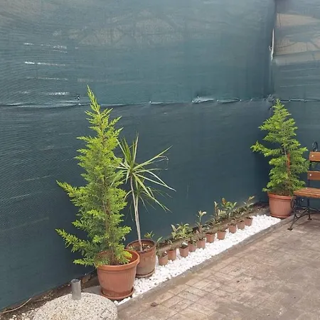 Miha Private Parking, Terrace, Near Zoo & Park Daire
