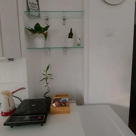 Miha Private Parking, Terrace, Near Zoo & Park